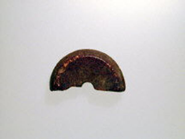 Whorl